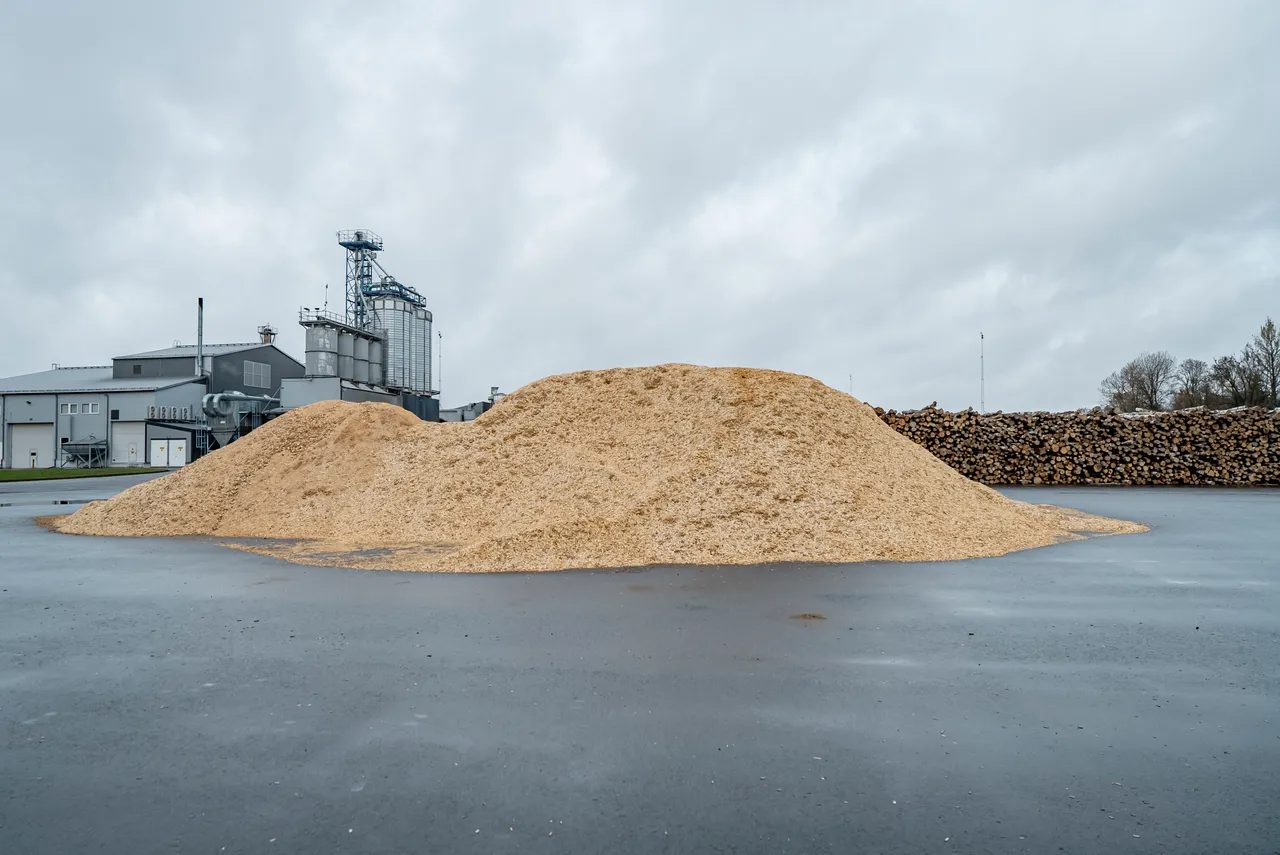 Biomass processing factory