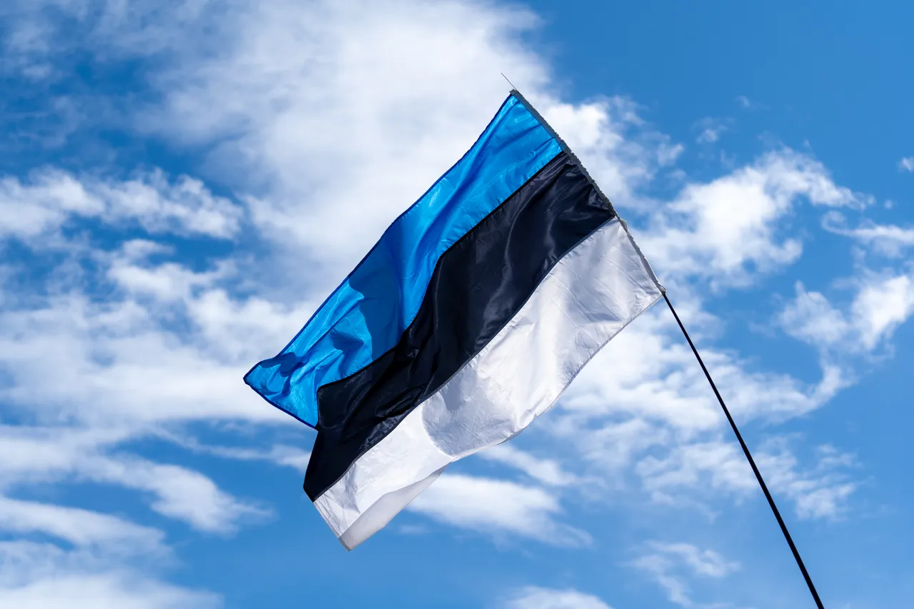 Estonian flag