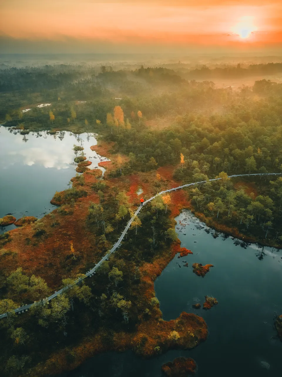 Selisoo hiking trail