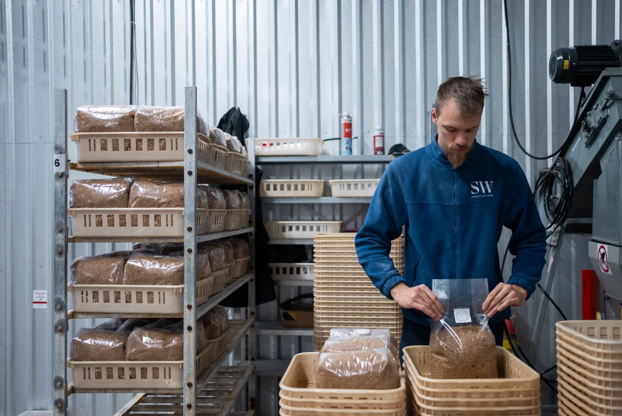 Inside mushroom farming
