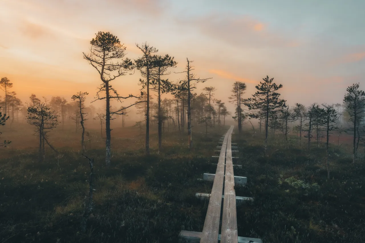 Selisoo nature trail