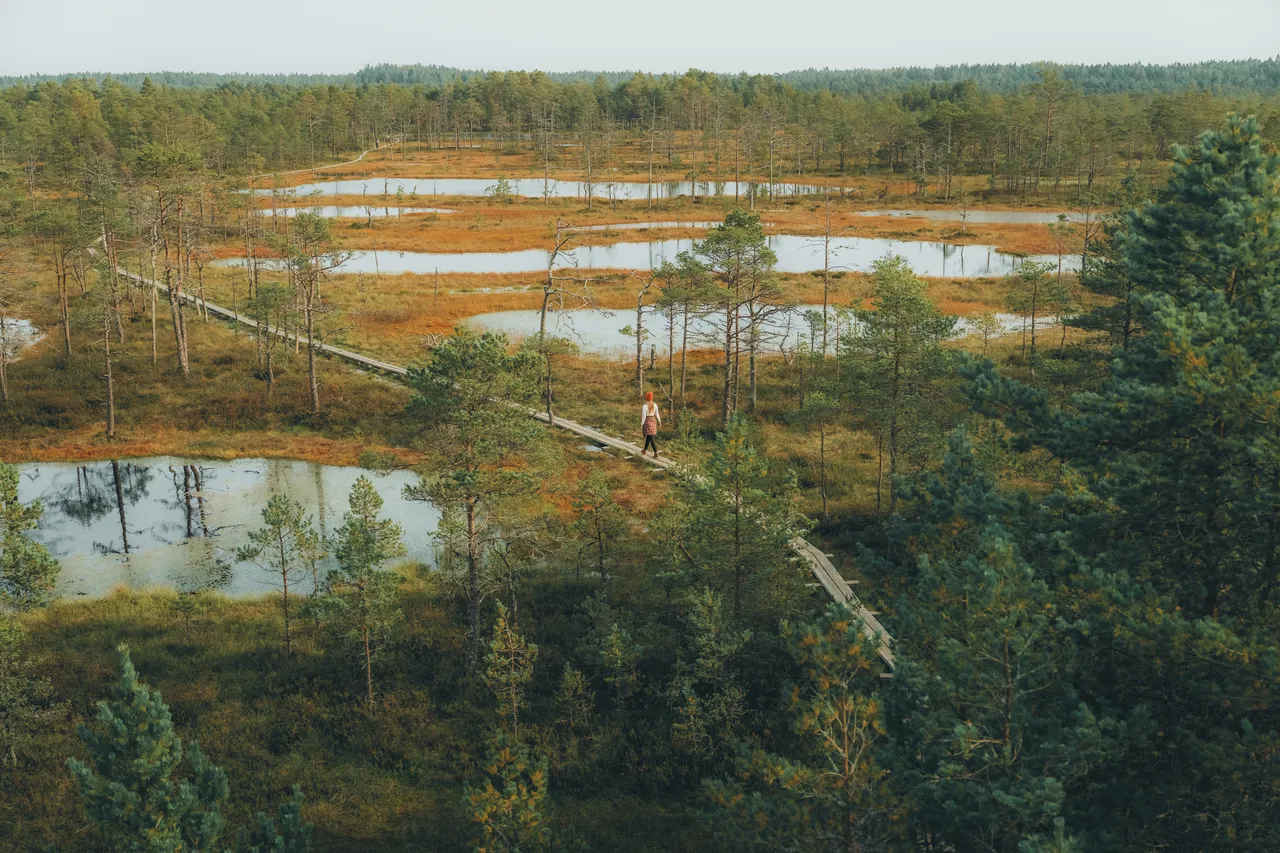 Selisoo nature trail