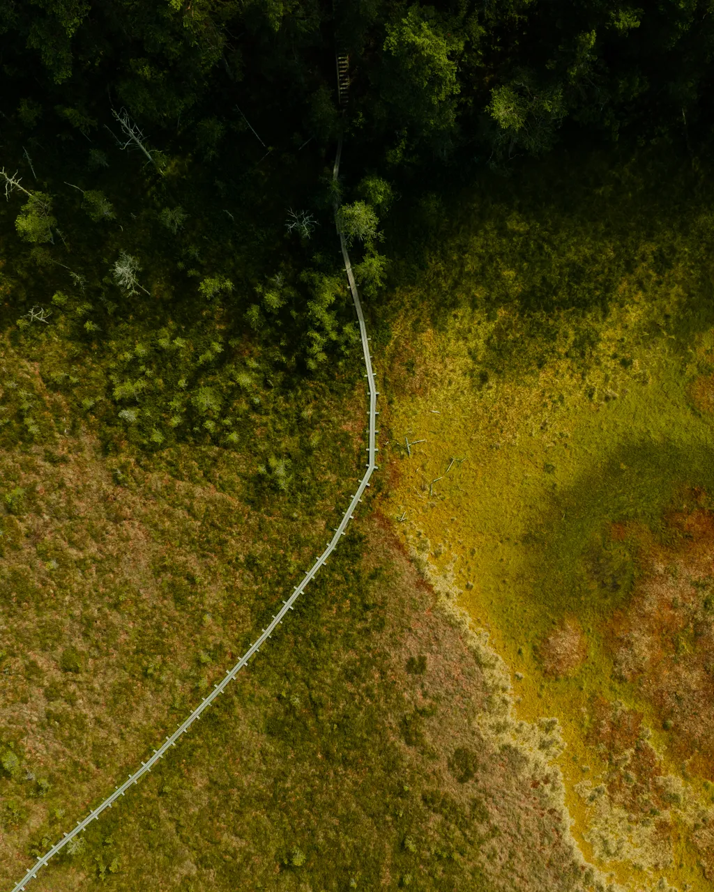 Majakivi-Pikanõmme study trail