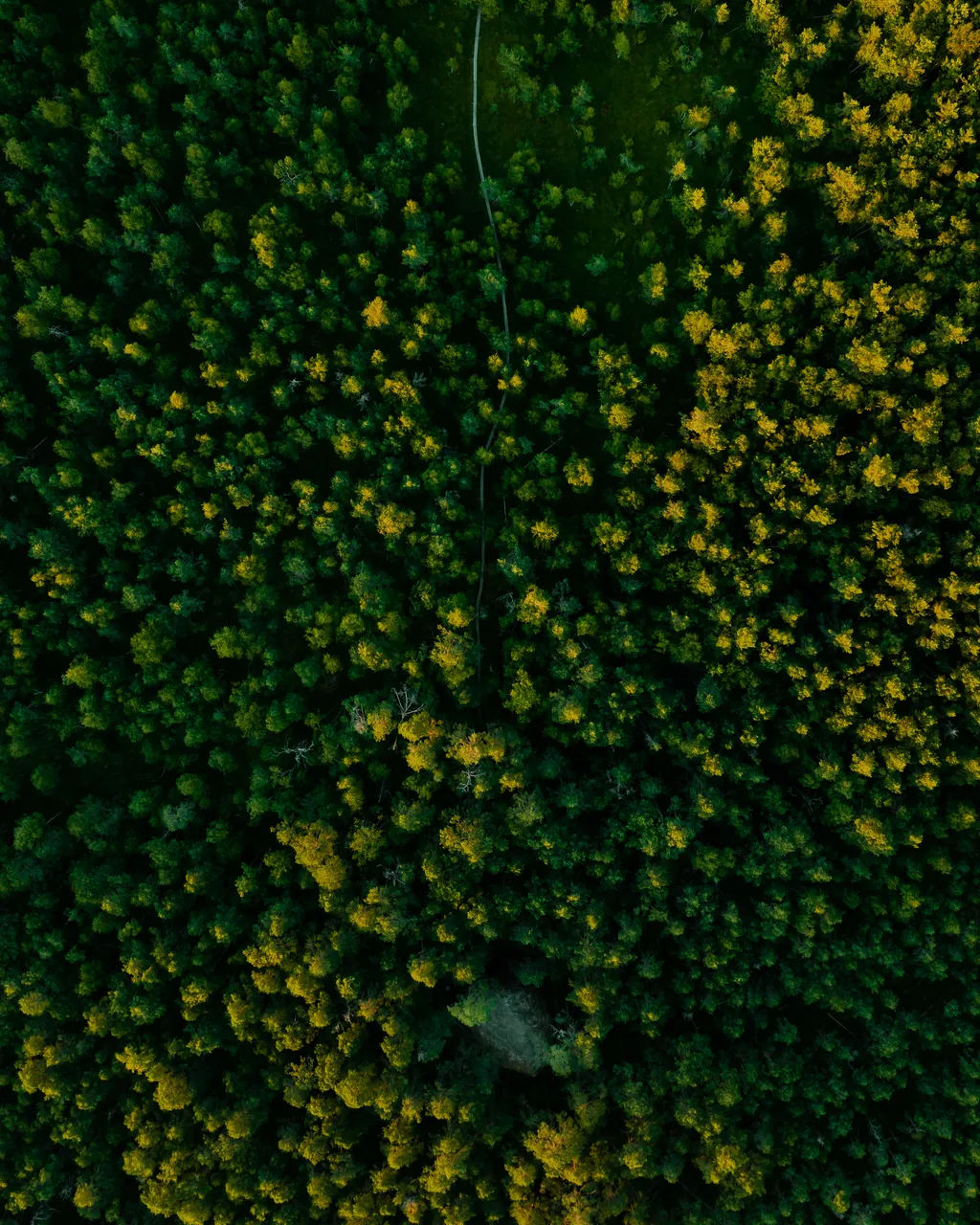 Majakivi-Pikanõmme study trail