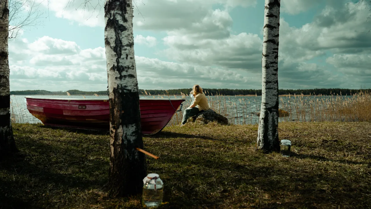 Man drinking birch sap