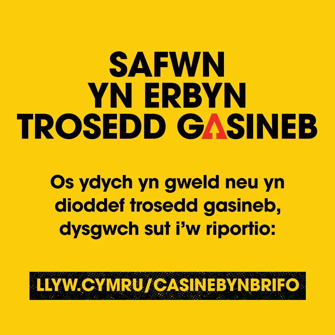 8 - HHW Carousel - CYMRAEG