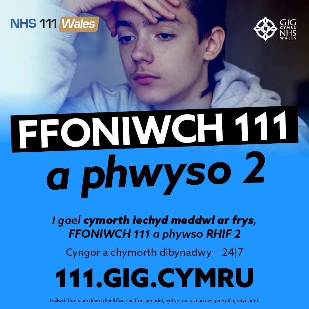 111 Press 2 CHILDREN Social 4 - CYMRAEG