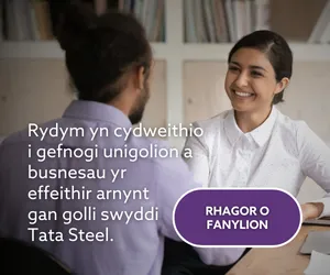 Tata Web Banner MPU 1 WELSH