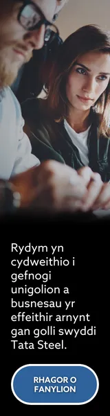 Tata Web Banner Skyscraper 5 WELSH