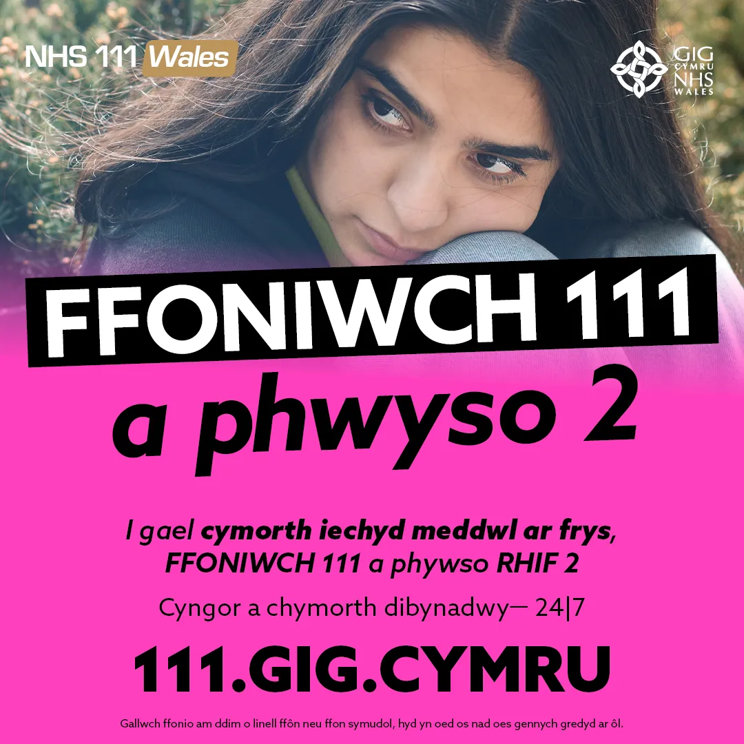 111 Press 2 CHILDREN Social 6 - CYMRAEG
