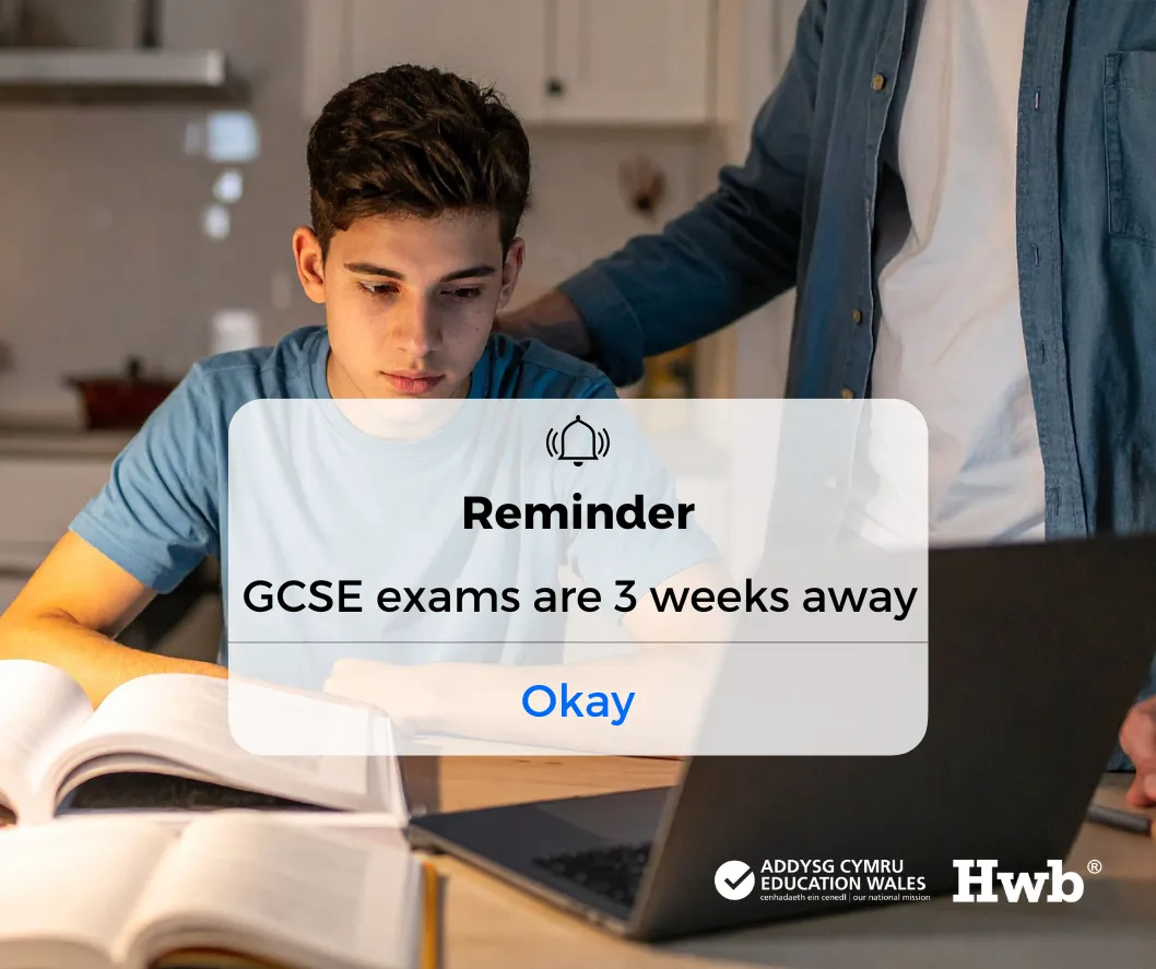EBAH Reminder X Eng