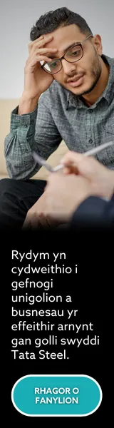 Tata Web Banner Skyscraper 4 WELSH