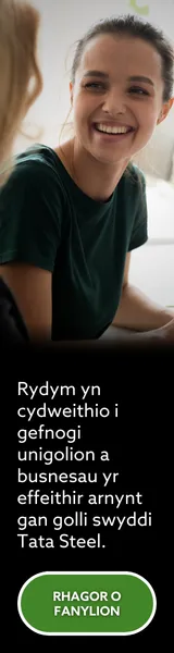 Tata Web Banner Skyscraper 6 WELSH