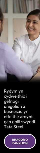 Tata Web Banner Skyscraper 1 WELSH