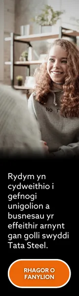 Tata Web Banner Skyscraper 2 WELSH