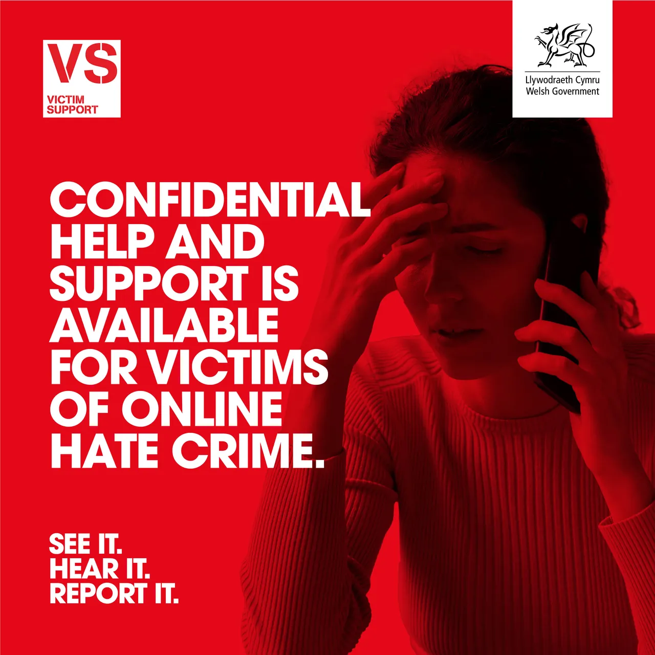 Online Hate Victim Carousel  - ENGLISH 4
