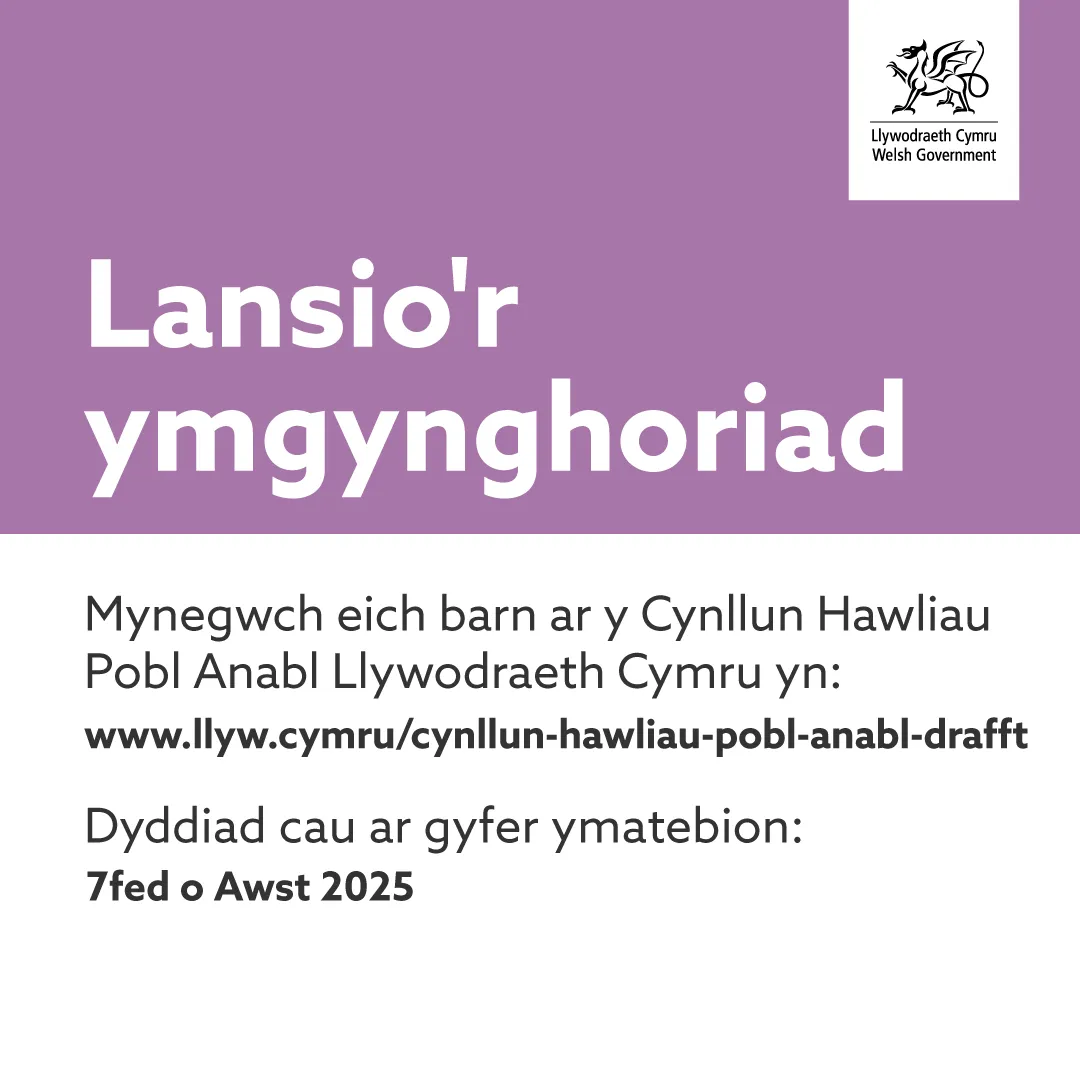 Disabled Rights Plan Consultation Static OPTION 2 1x1 -CYMRAEG