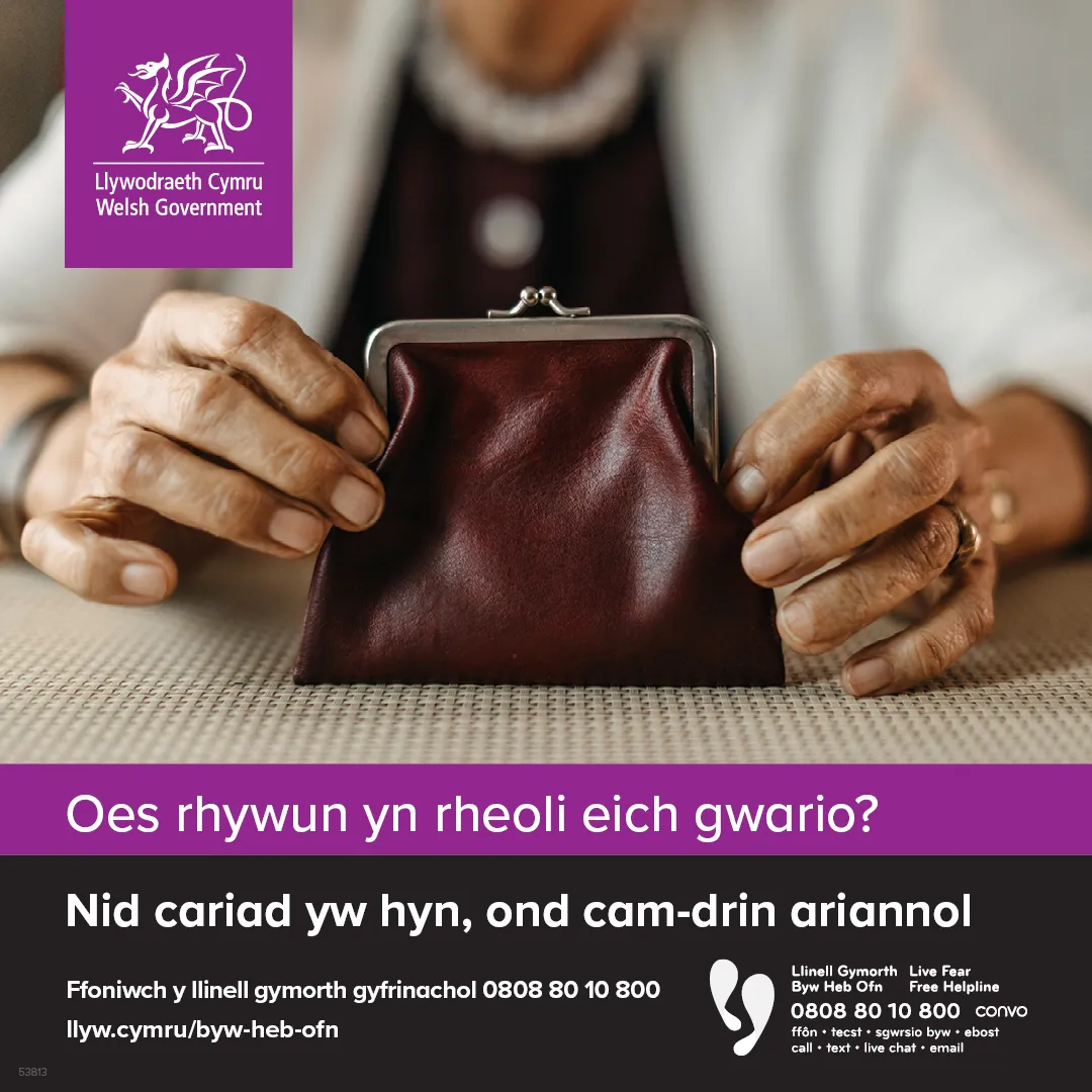 Financial abuse of older people Spending (W)