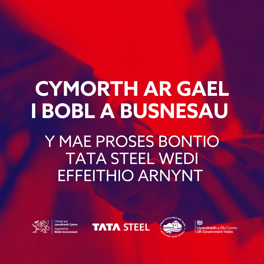 TATA Asset Red WELSH 4