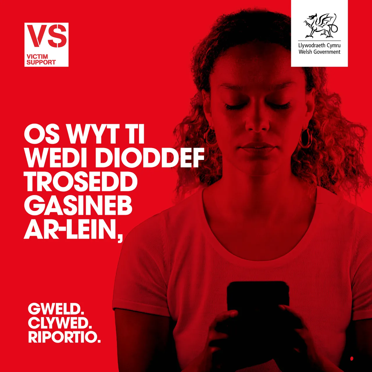Online Hate Victim Carousel  - CYMRAEG 2
