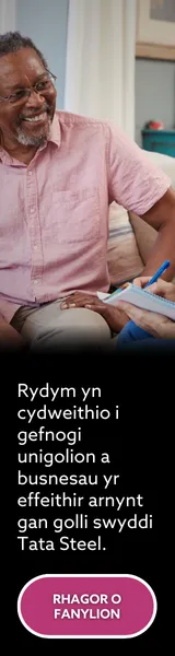 Tata Web Banner Skyscraper 3 WELSH