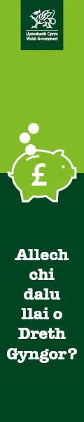 Council Tax web banner - 44714_120 x 600_cy