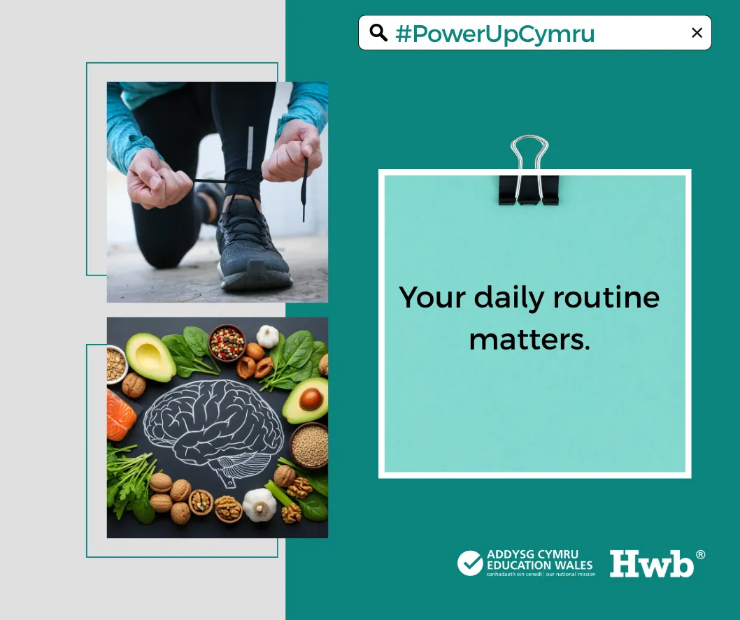 Your daily routine matters X ENG