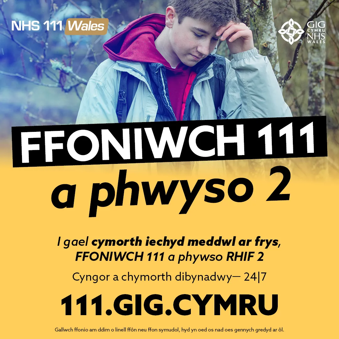 111 Press 2 CHILDREN Social 2 - CYMRAEG