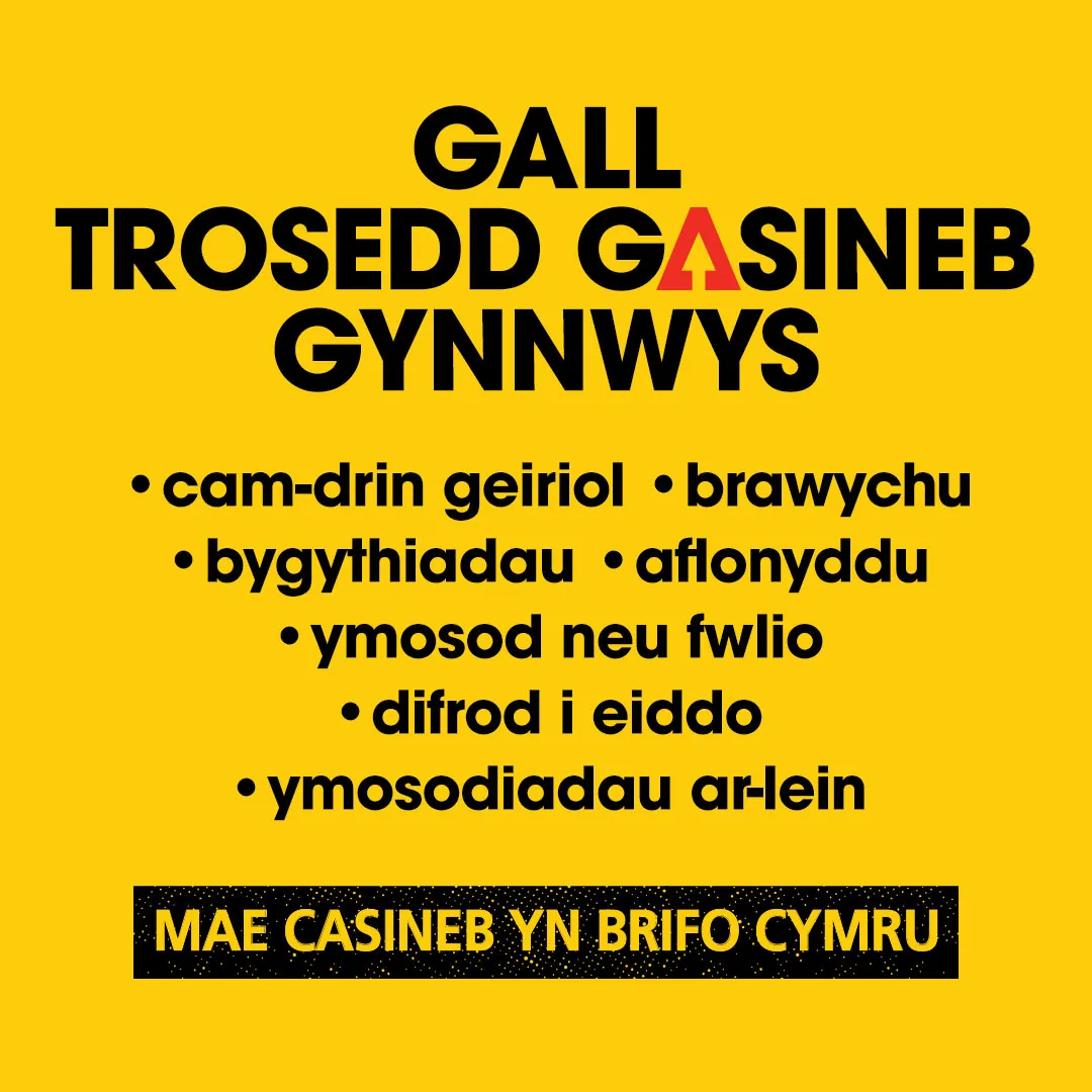 1 - HHW Carousel - CYMRAEG