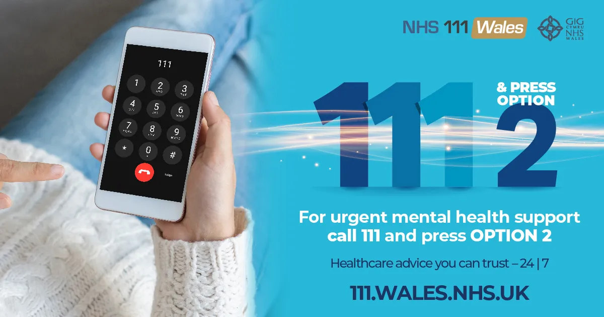 Welsh Government Communications Services Digital Toolkit - 111 Social ...