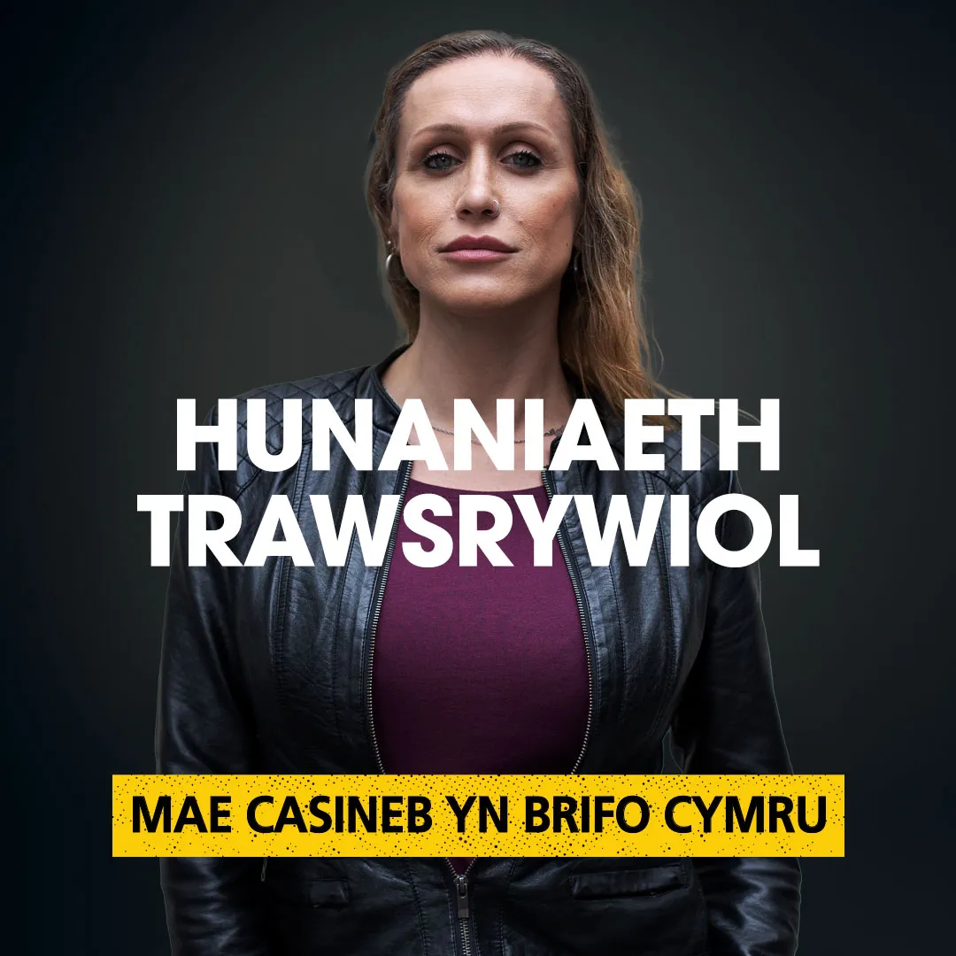 7 - HHW Carousel - CYMRAEG