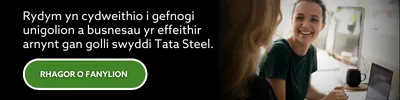 Tata E-mail Signature 6 WELSH