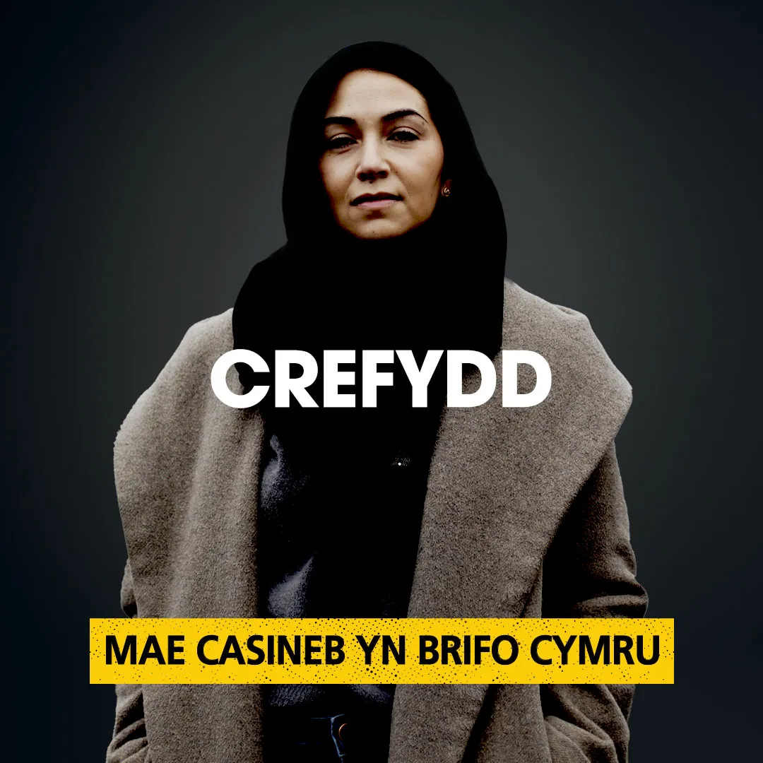 4 - HHW Carousel - CYMRAEG