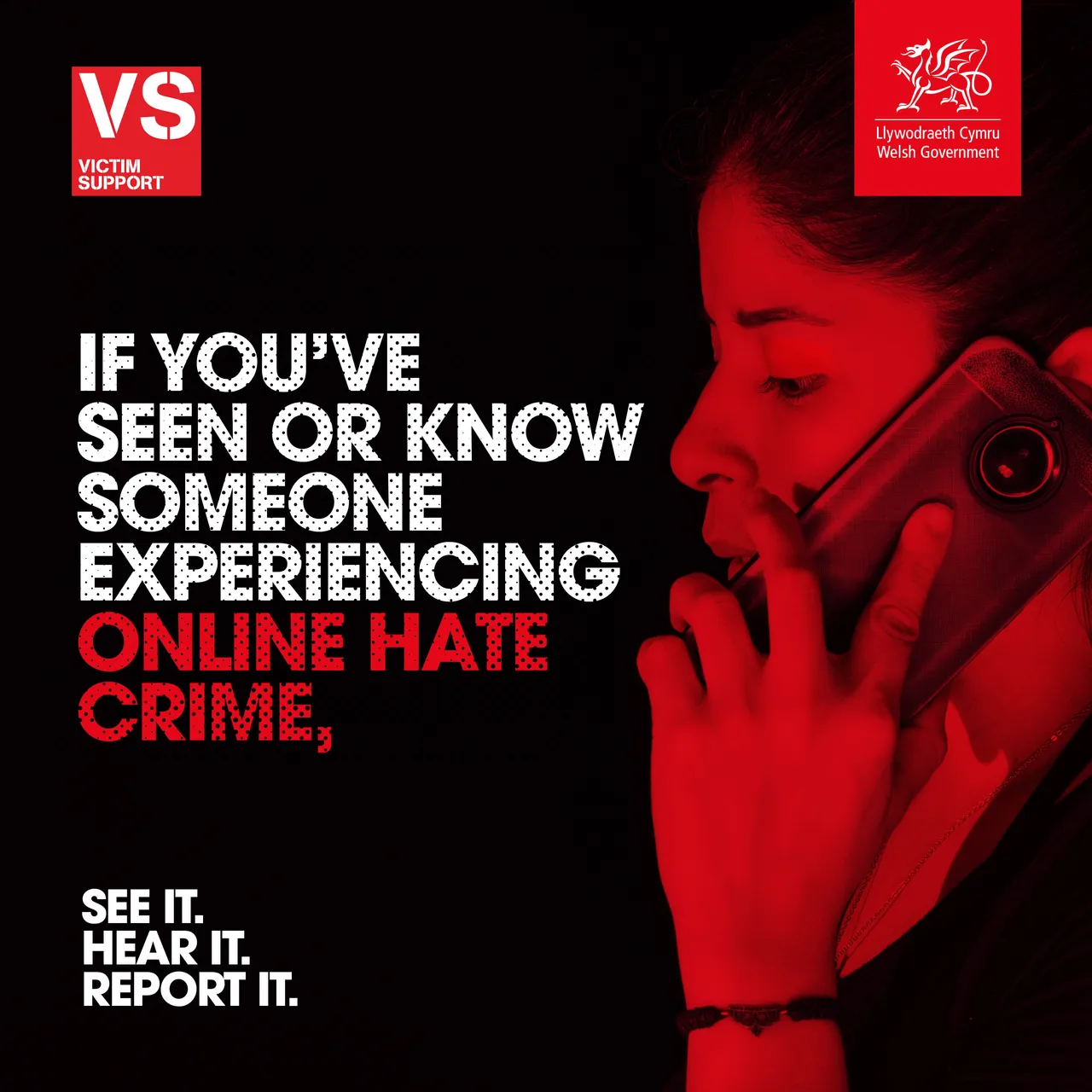 Online Hate Bystander Carousel  - ENGLISH 3