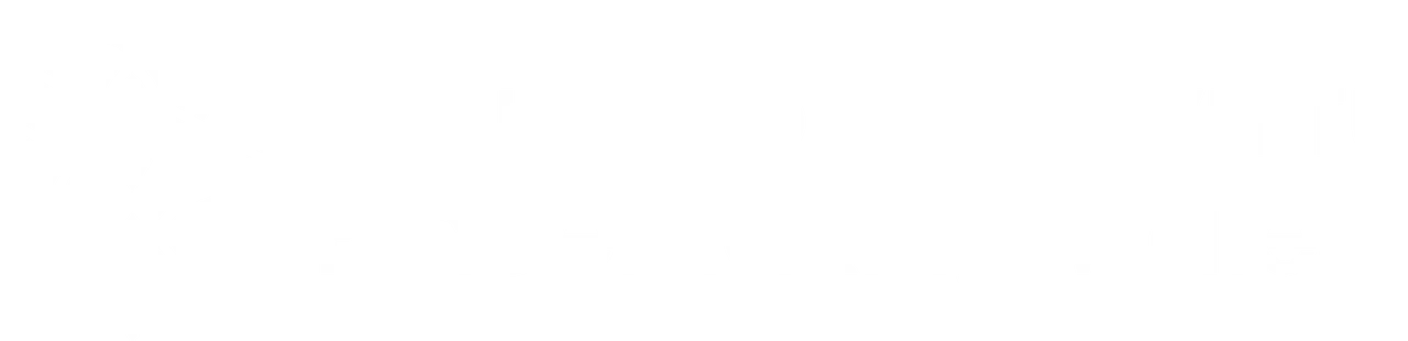 38643 Placemaking Wales White Logo