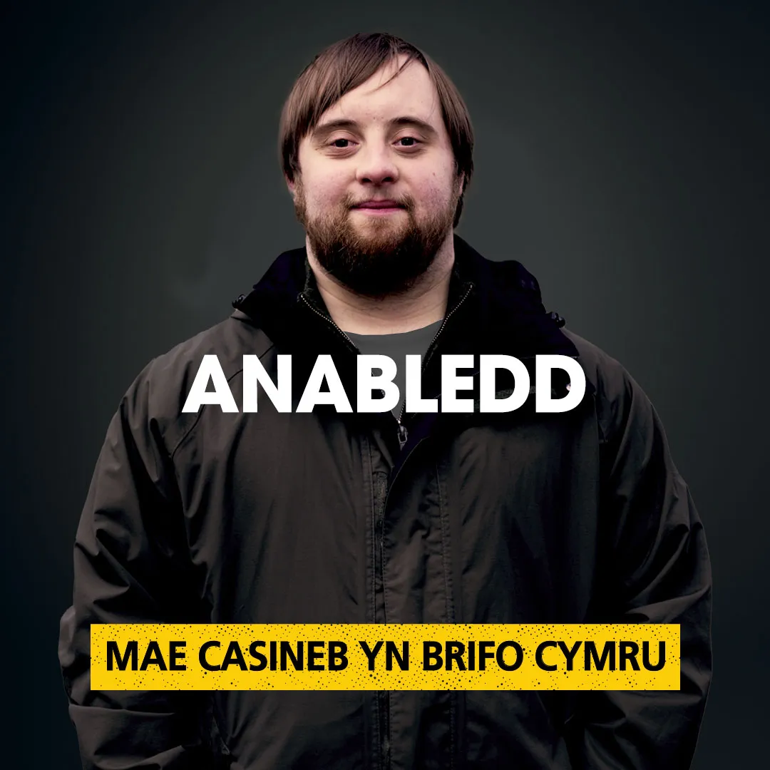 6 - HHW Carousel - CYMRAEG