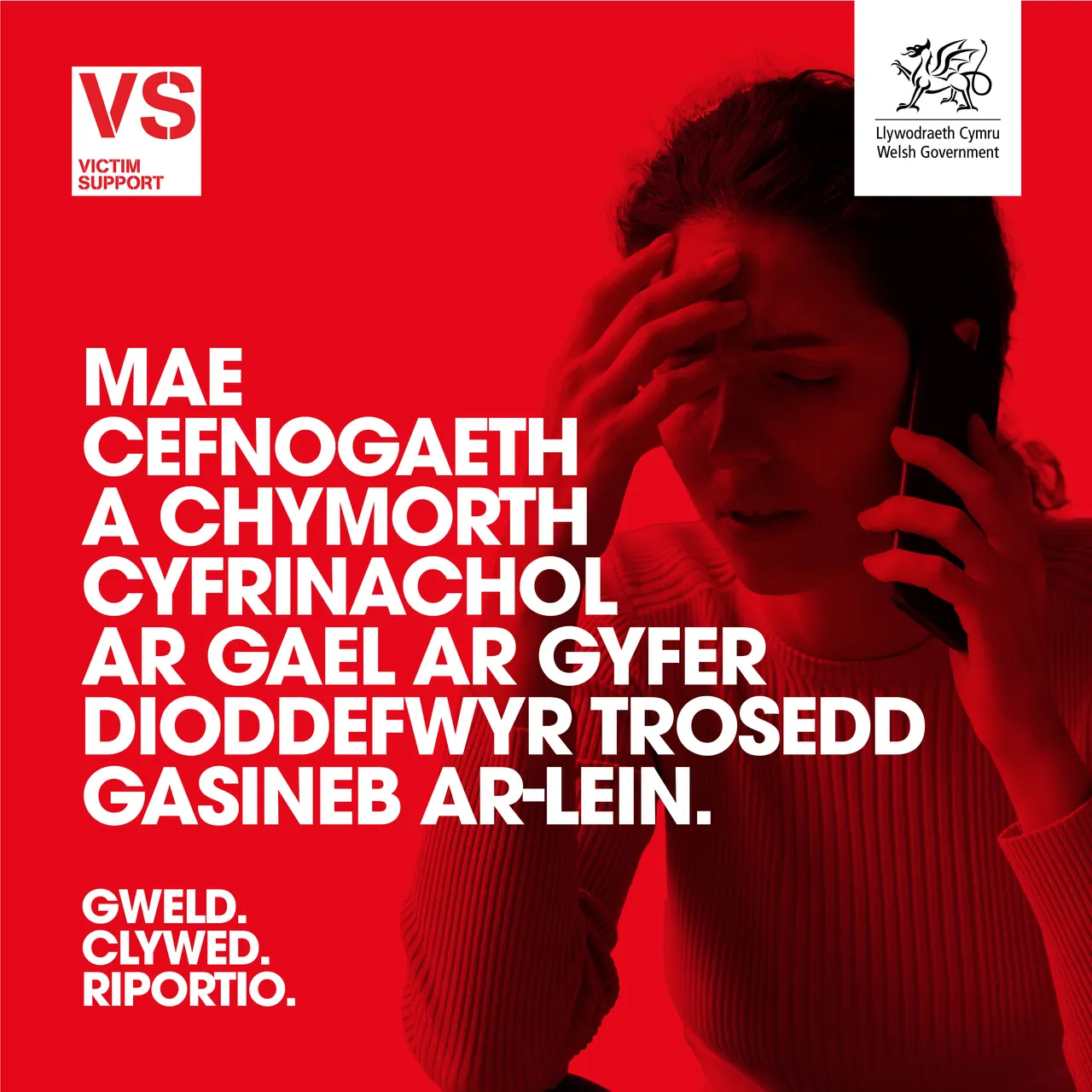 Online Hate Victim Carousel  - CYMRAEG 4