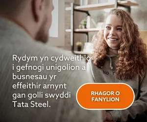 Tata Web Banner MPU 2 WELSH