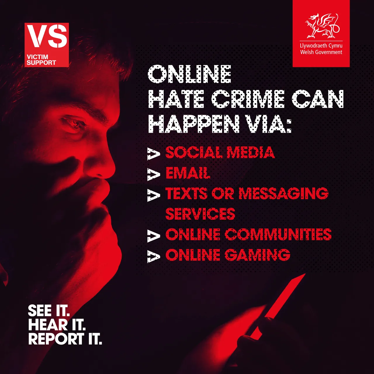 Online Hate Victim Carousel  - ENGLISH 1