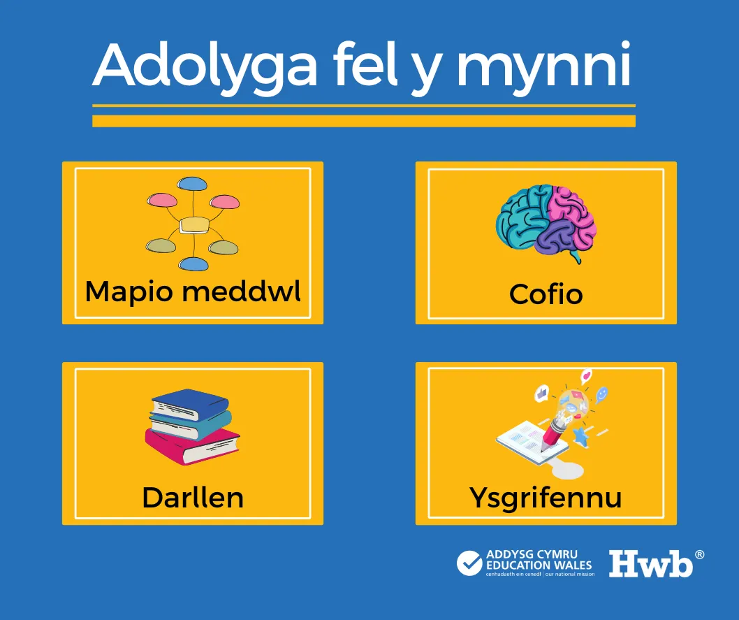 TW Revise your way cym