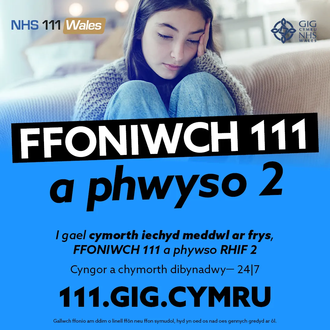 111 Press 2 CHILDREN Social 1 - CYMRAEG