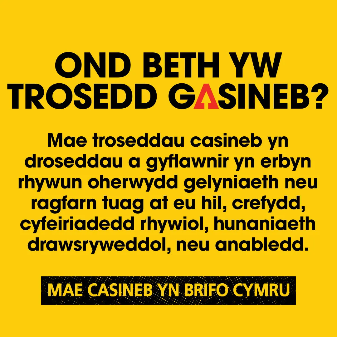 2 - HHW Carousel - CYMRAEG