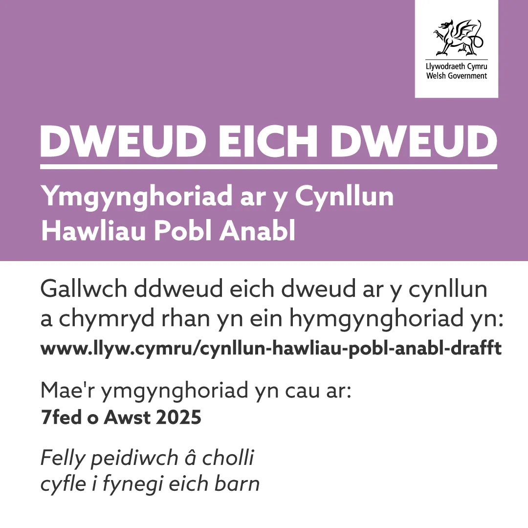 Disabled Rights Plan Consultation Static OPTION 1 1x1 - CYMRAEG