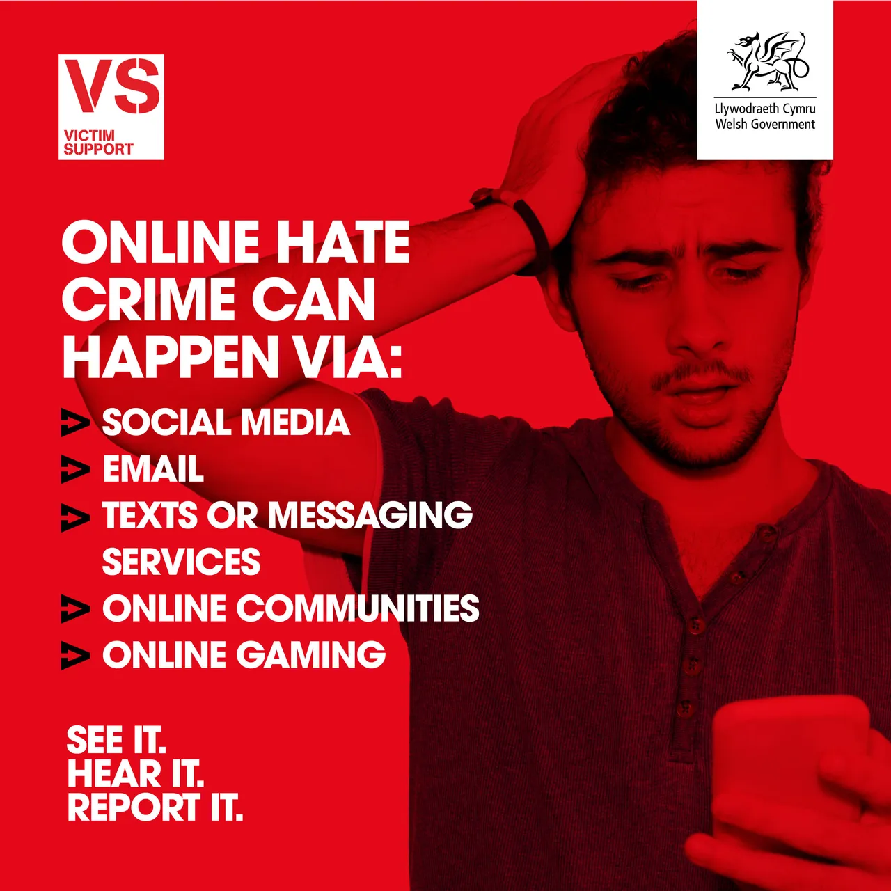Online Hate Bystander Carousel  - ENGLISH 2