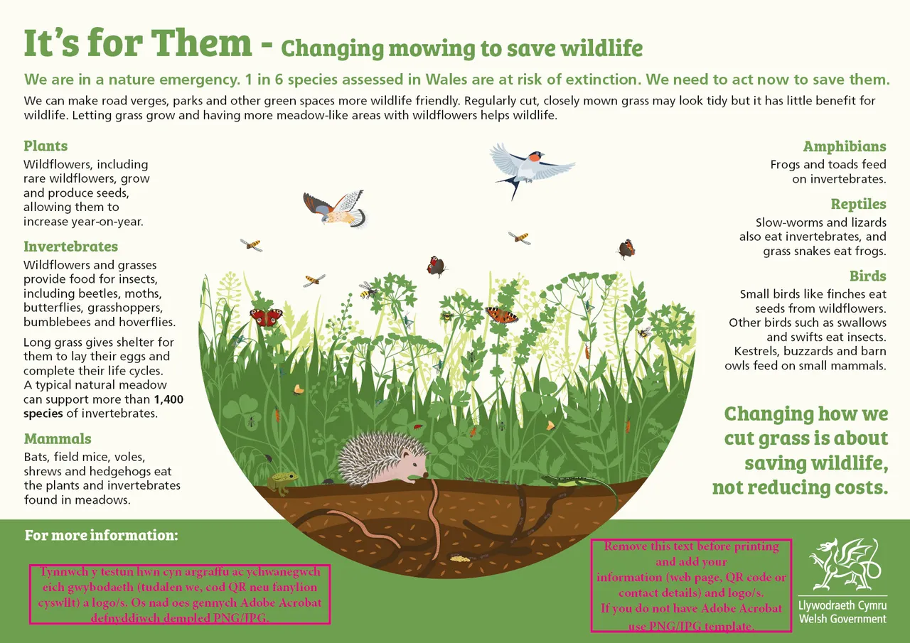 44340 It_s for Them_infographic template for partners_English