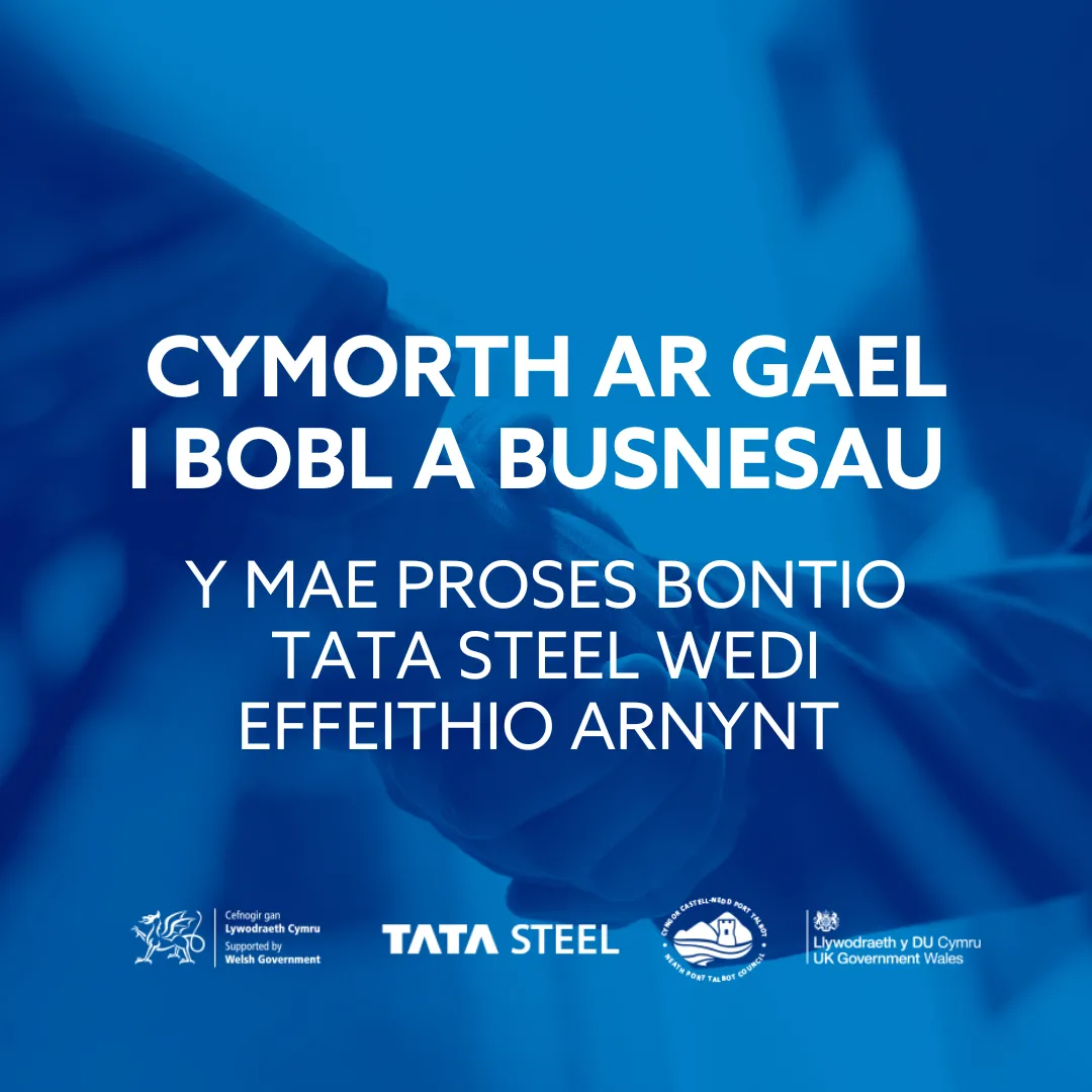 TATA Asset Blue WELSH 4