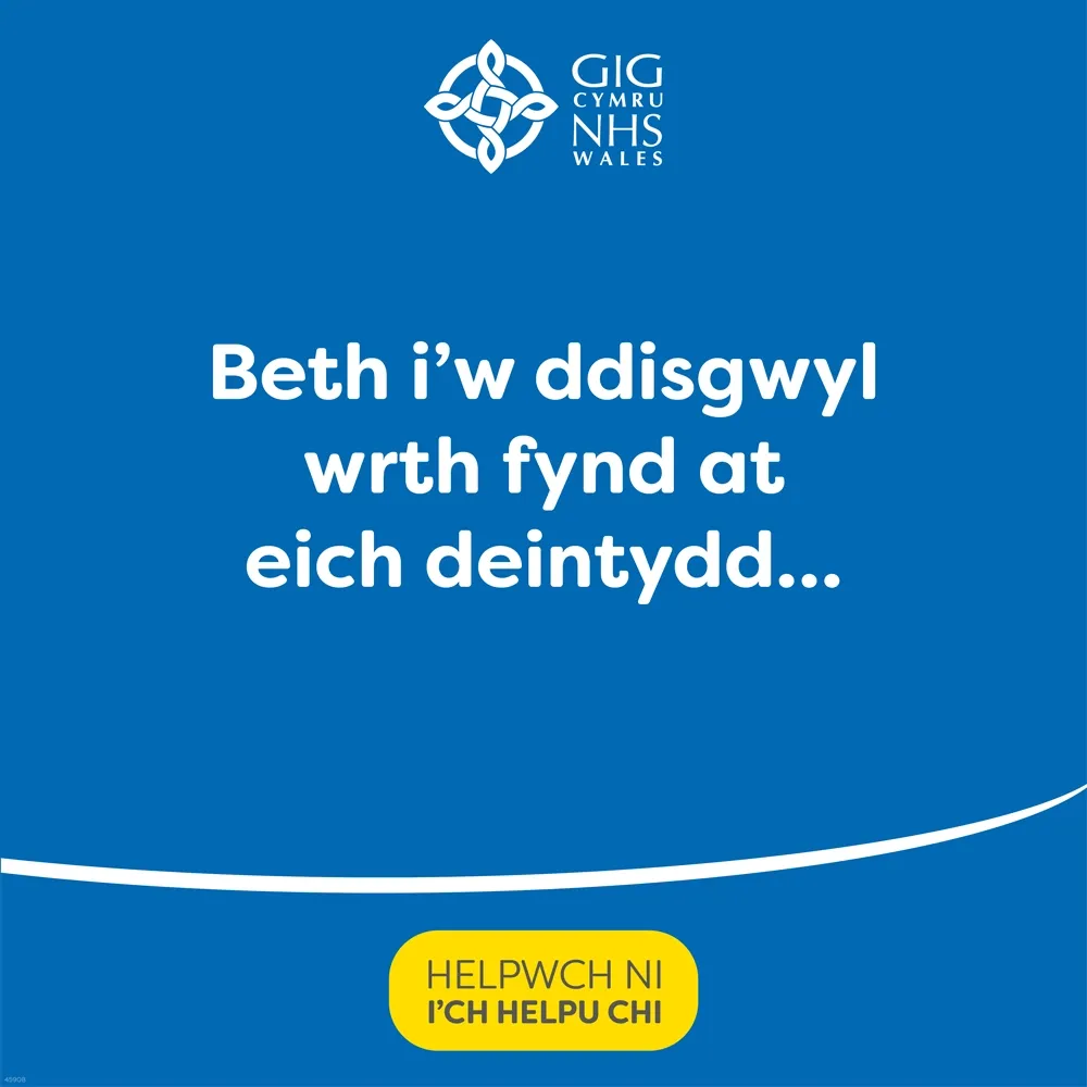 What To Expect When Visiting Your Dentist CYMRAEG