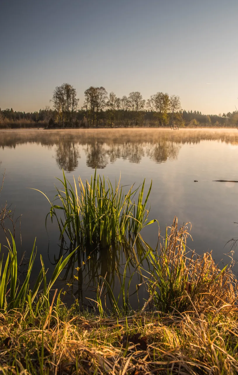 rybník Velký Šustov - lake Velky Sustov