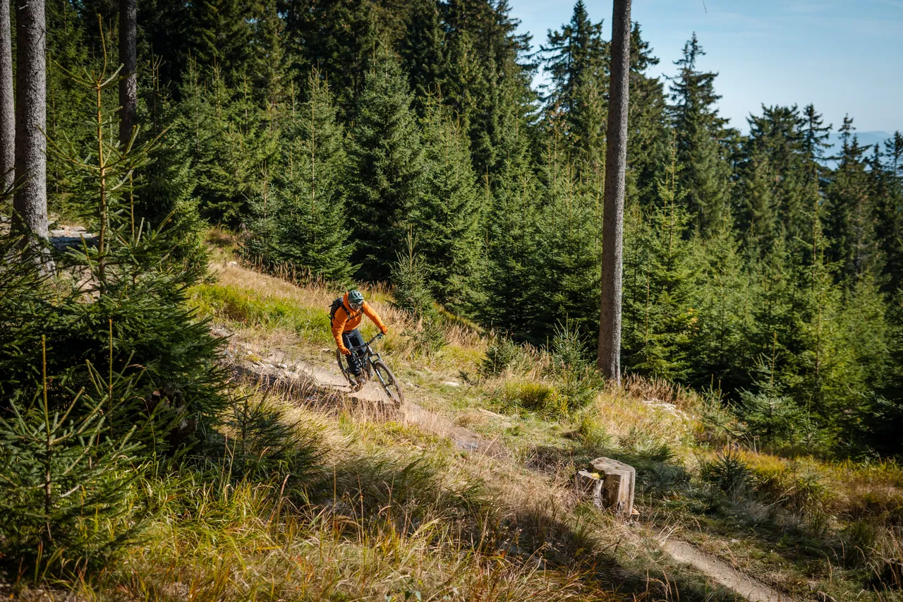 Aktivní dovolená Active holiday - Krušné hory