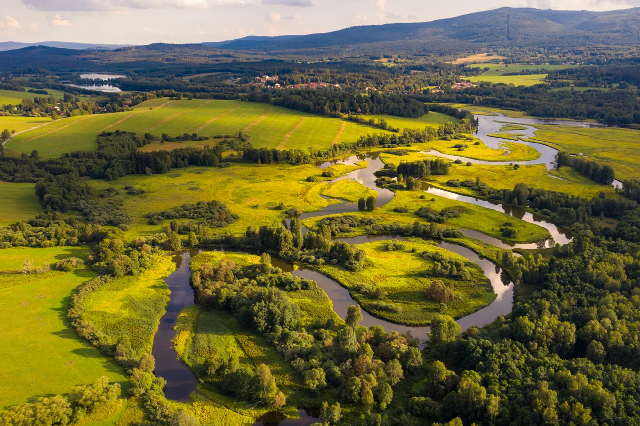 Řeka River Vltava Šumava